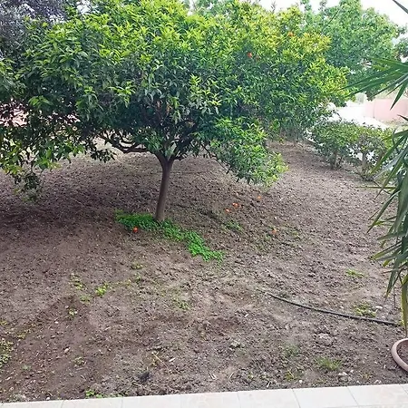 公寓 Hibiscus Appartments 1 阿凡投