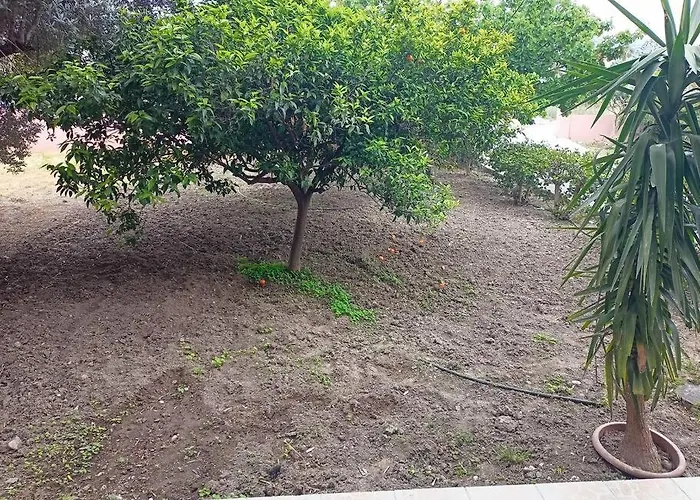 公寓 Hibiscus Appartments 1 阿凡投