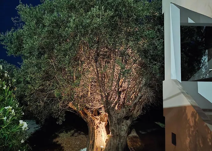 Hibiscus Appartments 1 Daire *