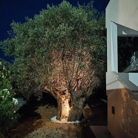 Hibiscus Appartments 1 Appartamento *